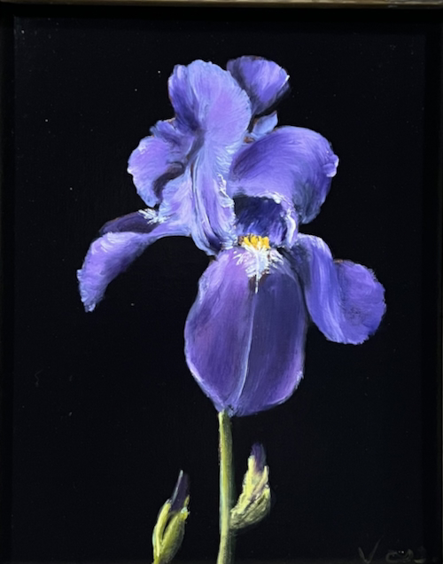 Purple Iris 14x11 $575 at Hunter Wolff Gallery