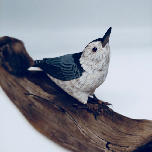 Click to view detail for White-Breasted Nuthatch $700