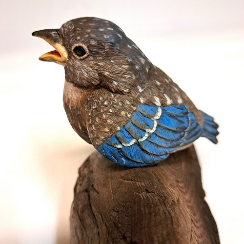 Baby Bluebird $560 at Hunter Wolff Gallery