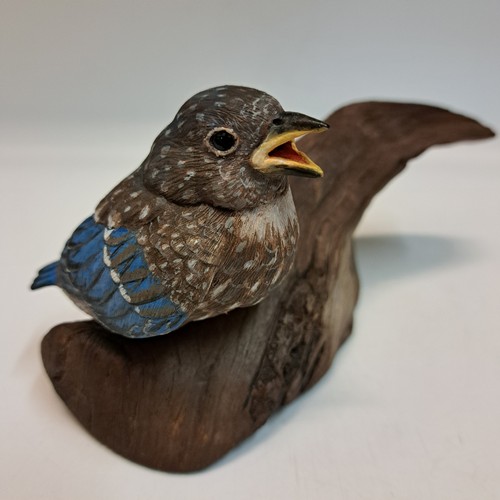 Baby Bluebird $560 at Hunter Wolff Gallery