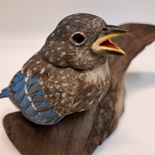 Baby Bluebird $560 at Hunter Wolff Gallery