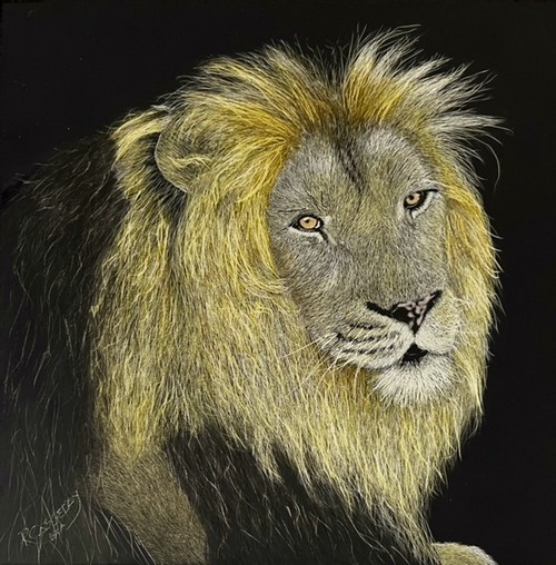 Bahati, Denver Zoo 8x8 $320 at Hunter Wolff Gallery