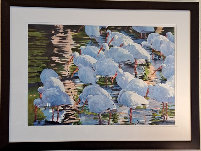 Early Morning Ibis 15x22 $2100 at Hunter Wolff Gallery