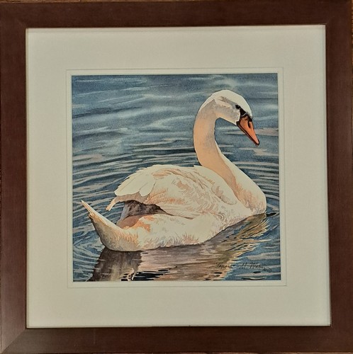 Mute Swan 10x10 $700 at Hunter Wolff Gallery