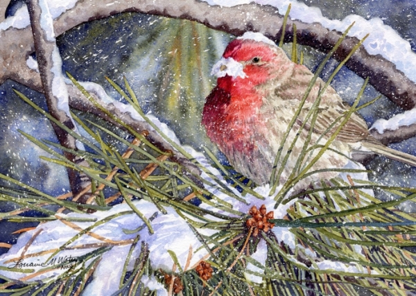 Click to view detail for Santa Finch 7.5x10.5 $490