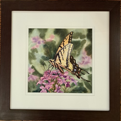 Swallowtail 8x8 $448 at Hunter Wolff Gallery