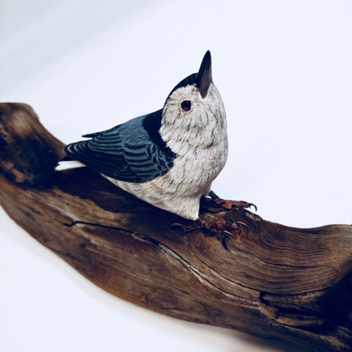 White-Breasted Nuthatch $700 at Hunter Wolff Gallery