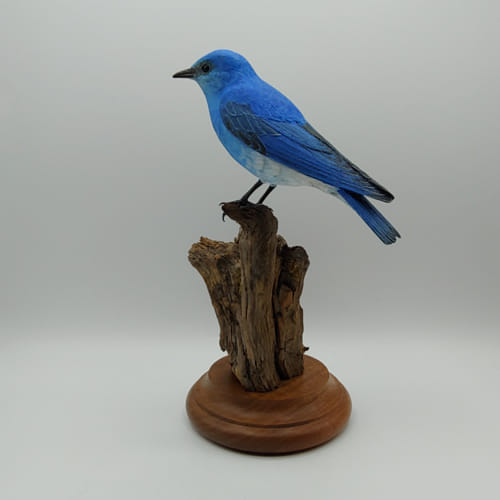 Click to view detail for Colorado Mountain Blue Bird $1300