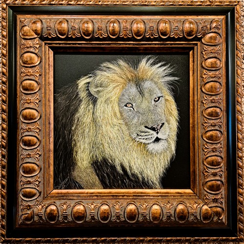 Click to view detail for Bahati, Denver Zoo 8x8 $320