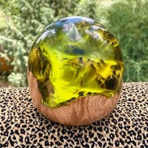 Click to view detail for SH239 Maple & Lime Green Resin $225