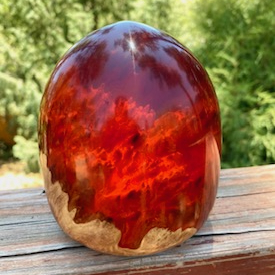 Click to view detail for SH240 Red Resin & Australian Red Mallee $225