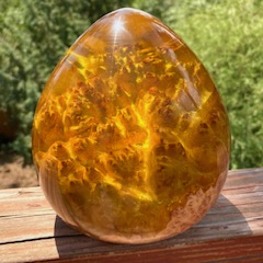 Click to view detail for SH241 Yellow Resin & Australian Red Mallee $440