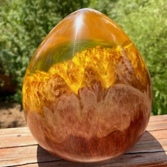 SH241 Yellow Resin & Australian Red Mallee $440 at Hunter Wolff Gallery