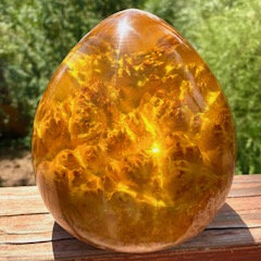 SH241 Yellow Resin & Australian Red Mallee $440 at Hunter Wolff Gallery