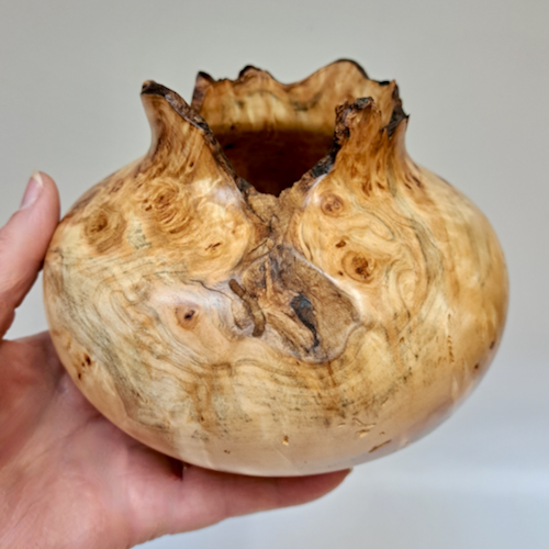 JW-252 Colorado Aspen Burl Hollow Woodturning $225 at Hunter Wolff Gallery