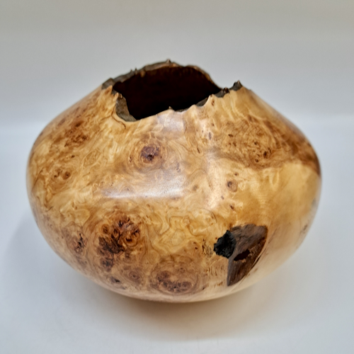 Click to view detail for JW-253 Colorado Aspen Burl Hollow Woodturning $225