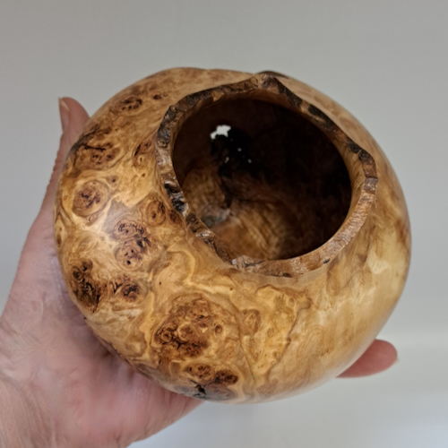 Click to view detail for JW-254 Colorado Aspen Burl Hollow Woodturning $175
