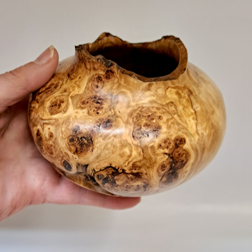 JW-254 Colorado Aspen Burl Hollow Woodturning $175 at Hunter Wolff Gallery