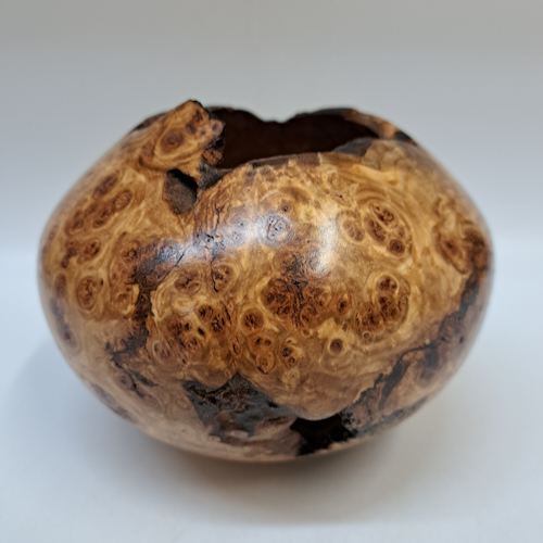 JW-255 Colorado Aspen Burl Hollow Woodturning $175 at Hunter Wolff Gallery