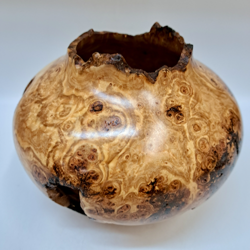 JW-256 Colorado Aspen Burl Hollow Woodturning $300 at Hunter Wolff Gallery