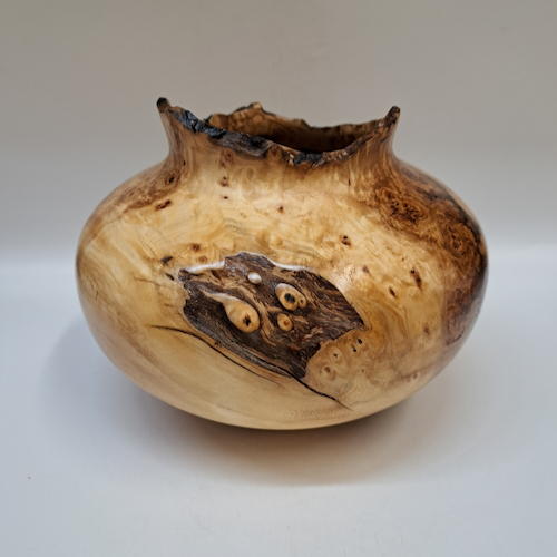 JW-257 Colorado Aspen Burl Hollow Woodturning $400 at Hunter Wolff Gallery