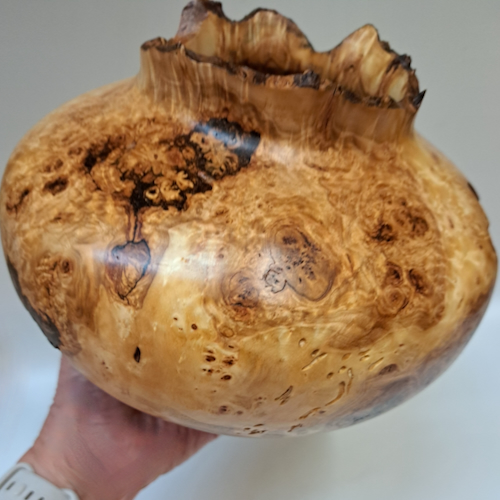 JW-259 Colorado Aspen Burl Hollow Woodturning $500 at Hunter Wolff Gallery