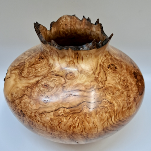 JW-260 Colorado Aspen Burl Hollow Woodturning $750 at Hunter Wolff Gallery