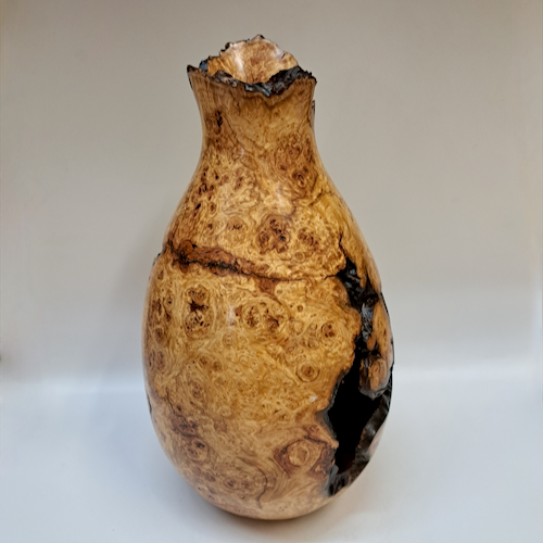 JW-261 Colorado Aspen Burl Hollow Woodturning $850 at Hunter Wolff Gallery