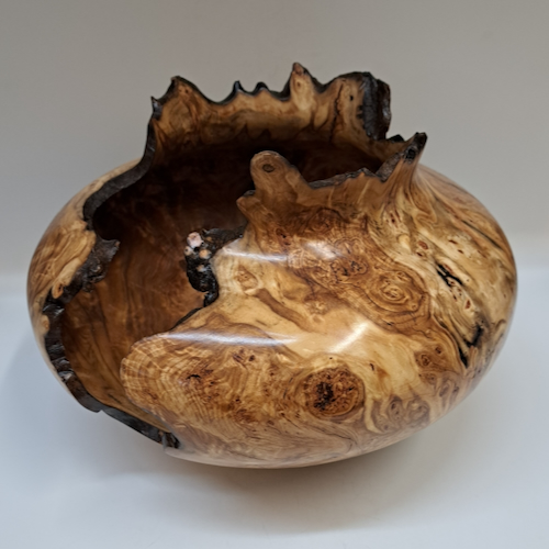 JW-263 Colorado Aspen Burl Hollow Woodturning $850 at Hunter Wolff Gallery