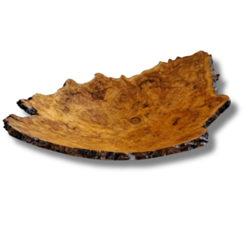Click to view detail for JW-266 Colorado Aspen Burl Open Bown $1750