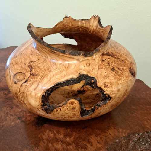 Click to view detail for JW-269 Colorado Aspen Burl Hollow Woodturning  $2000