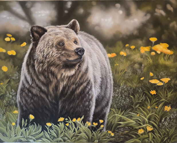 Click to view detail for The Bear's Garden 16x20 $1600
