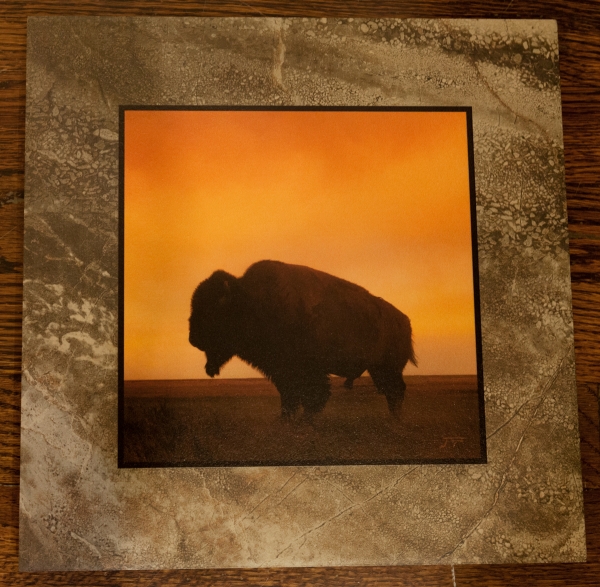 Click to view detail for American Bison Silhouette 12x12 $90
