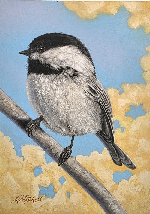 Black Capped Chickadee 7x5 $350 at Hunter Wolff Gallery