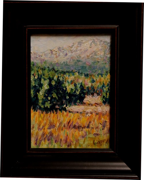 Click to view detail for Central Garden View GOG 7x5 $195