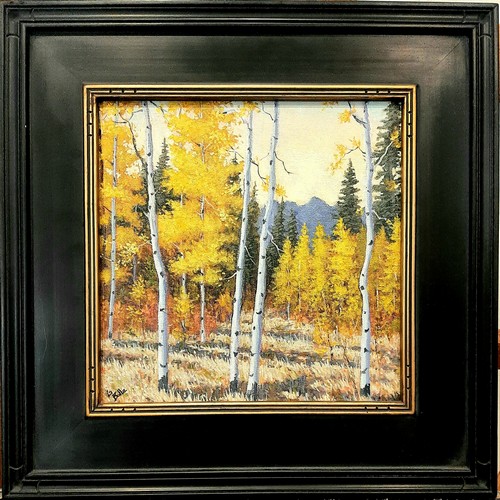 Click to view detail for Colorado Aspens 10x10 $450