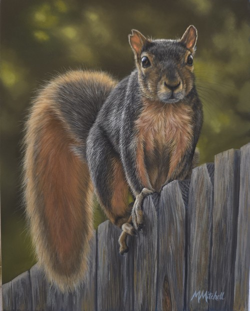 Notch - Fox Squirrel 10x8 $550 at Hunter Wolff Gallery