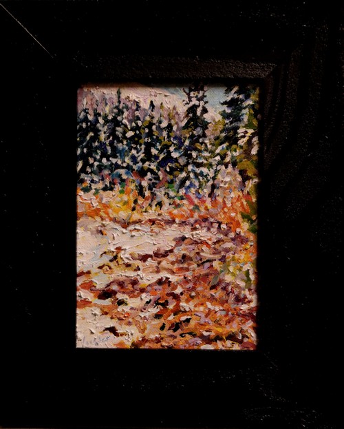 Click to view detail for Frozen Creek Bed 7x5 $195