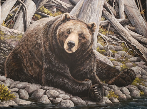 Gustavus, Coastal Brown Bear 12x16 $1100 at Hunter Wolff Gallery