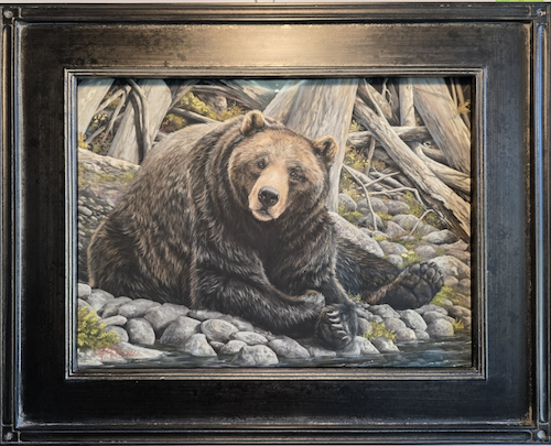 Click to view detail for Gustavus, Coastal Brown Bear 12x16 $1100