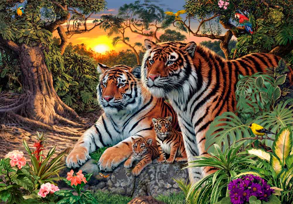 Click to view detail for MP-005 Hidden Tigers 16x10 $78