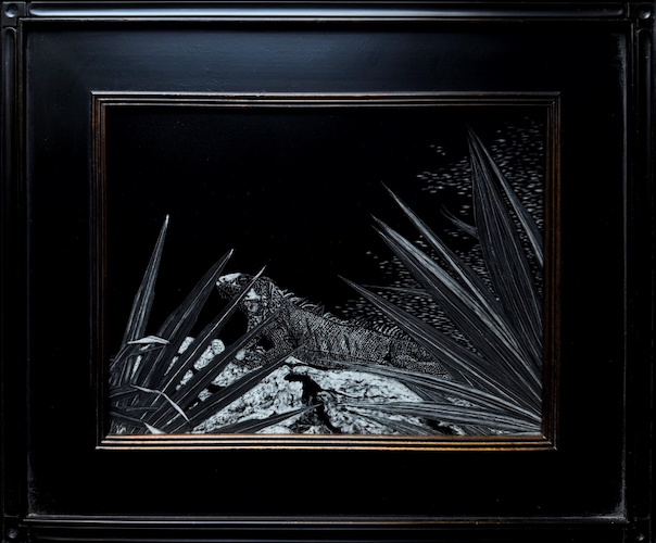 I Guana Go Home 9x12 $420 by ROBB CASSEDAY