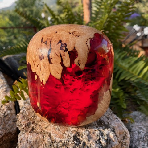 Click to view detail for SH225 Maple and Red Double-Capped $400
