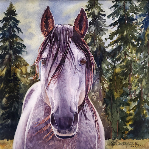 If Wishes Were Horses 9x9 $567 at Hunter Wolff Gallery