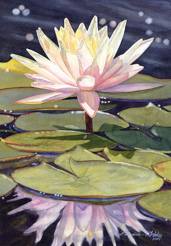 Inner Glow 10x7 $490 at Hunter Wolff Gallery