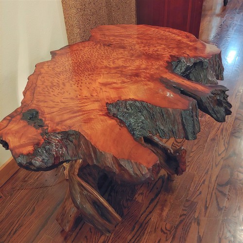 JW-183 Redwood and Juniper $3500 at Hunter Wolff Gallery