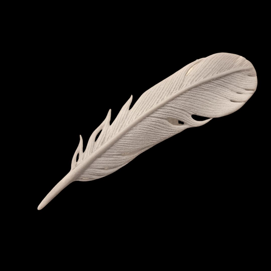 LM-011 Dove Feather 6x1.75 $150 at Hunter Wolff Gallery