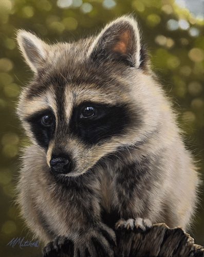 Luca 10x8 $650 at Hunter Wolff Gallery