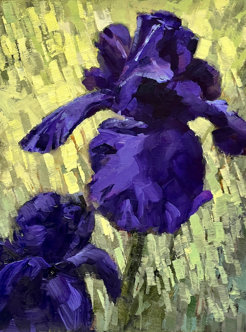Midnight Iris 12x9 $490 at Hunter Wolff Gallery