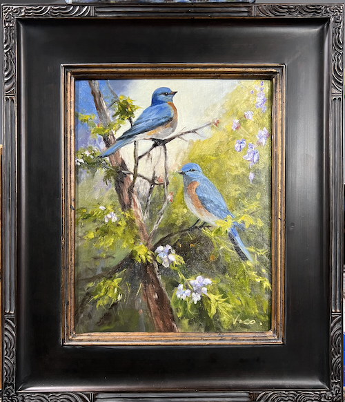 Click to view detail for Mountain Blue Birds 11x14 $575